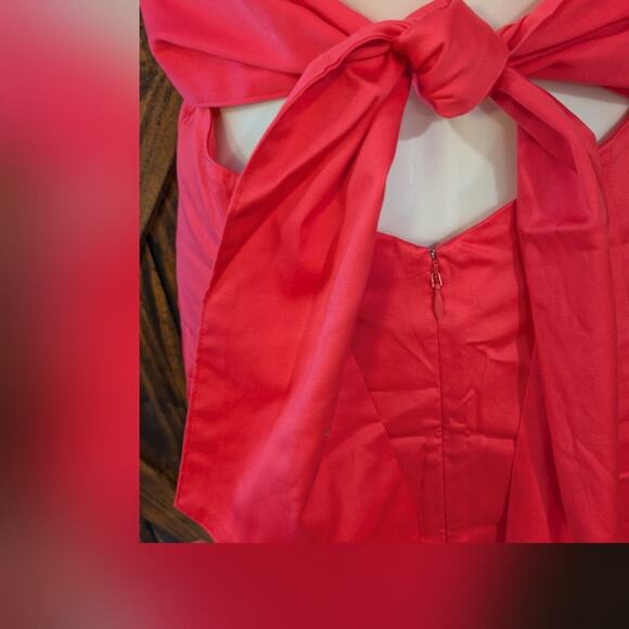 NWT Alden Adair size Medium Fringe Shoshana Dress in pink begonia color - Picture 6 of 8